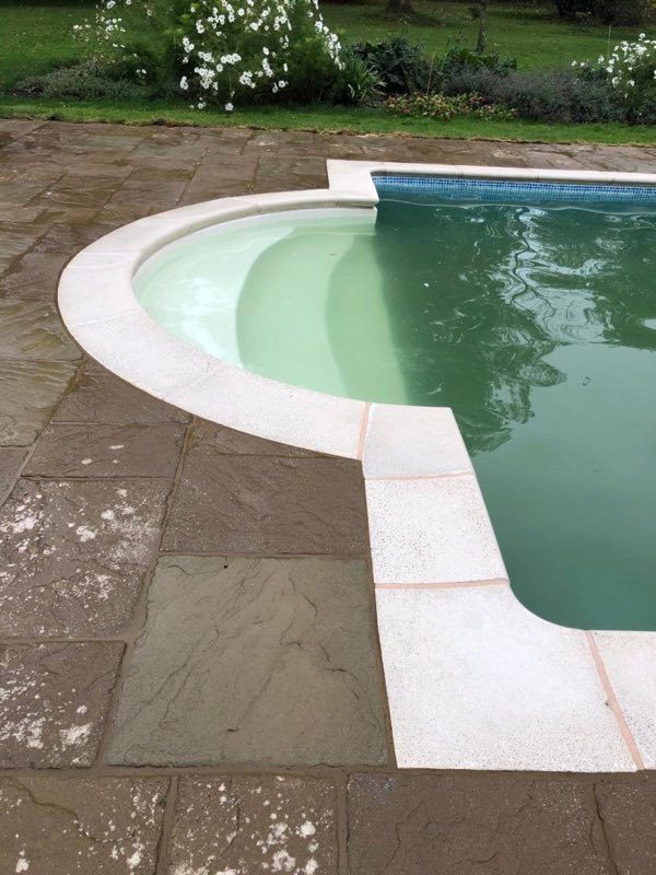 Pool with a curved Roman end, white coping and stone paving